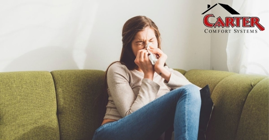 An adult woman struggling with seasonal allergies.