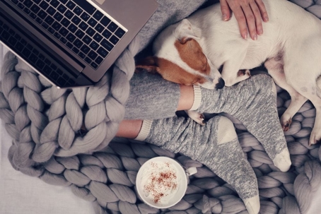 A person wearing grey socks with a braided throw blanket on their lap, a mug of coffee, and their dog next to them on their laptop
